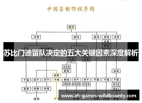 苏比门迪留队决定的五大关键因素深度解析